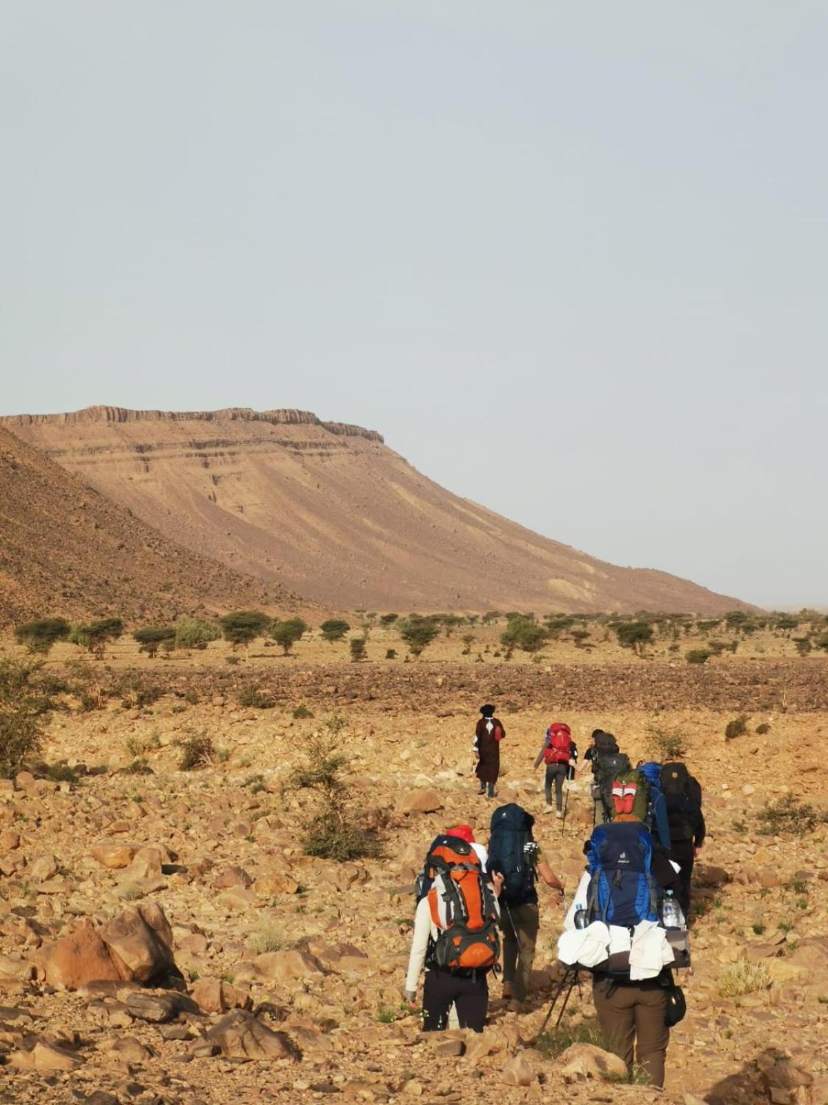 Bivouac Les Nomades & Foum Zguid To Chegaga Tours Hotel Ngoại thất bức ảnh