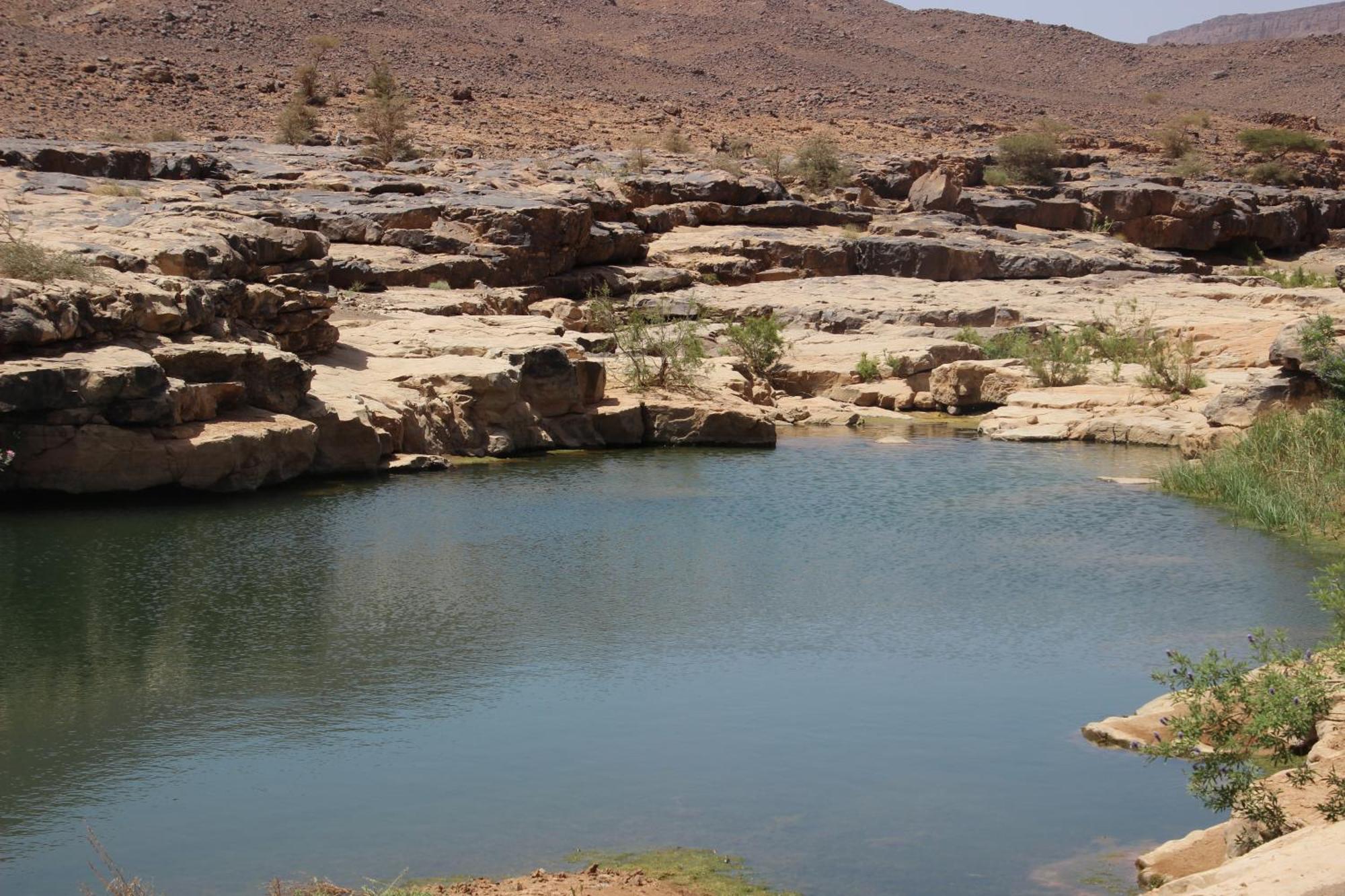 Bivouac Les Nomades & Foum Zguid To Chegaga Tours Hotel Ngoại thất bức ảnh