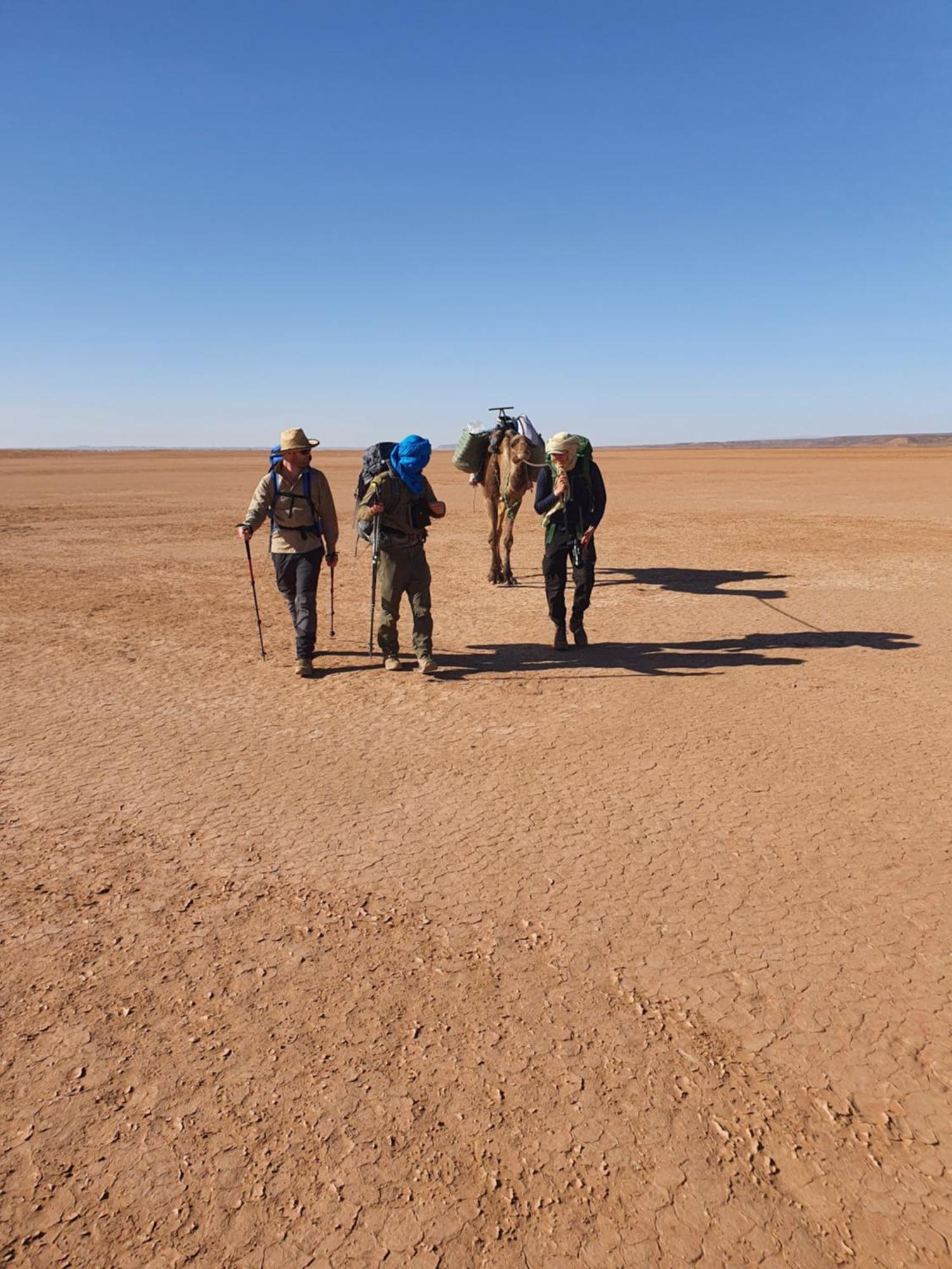 Bivouac Les Nomades & Foum Zguid To Chegaga Tours Hotel Ngoại thất bức ảnh
