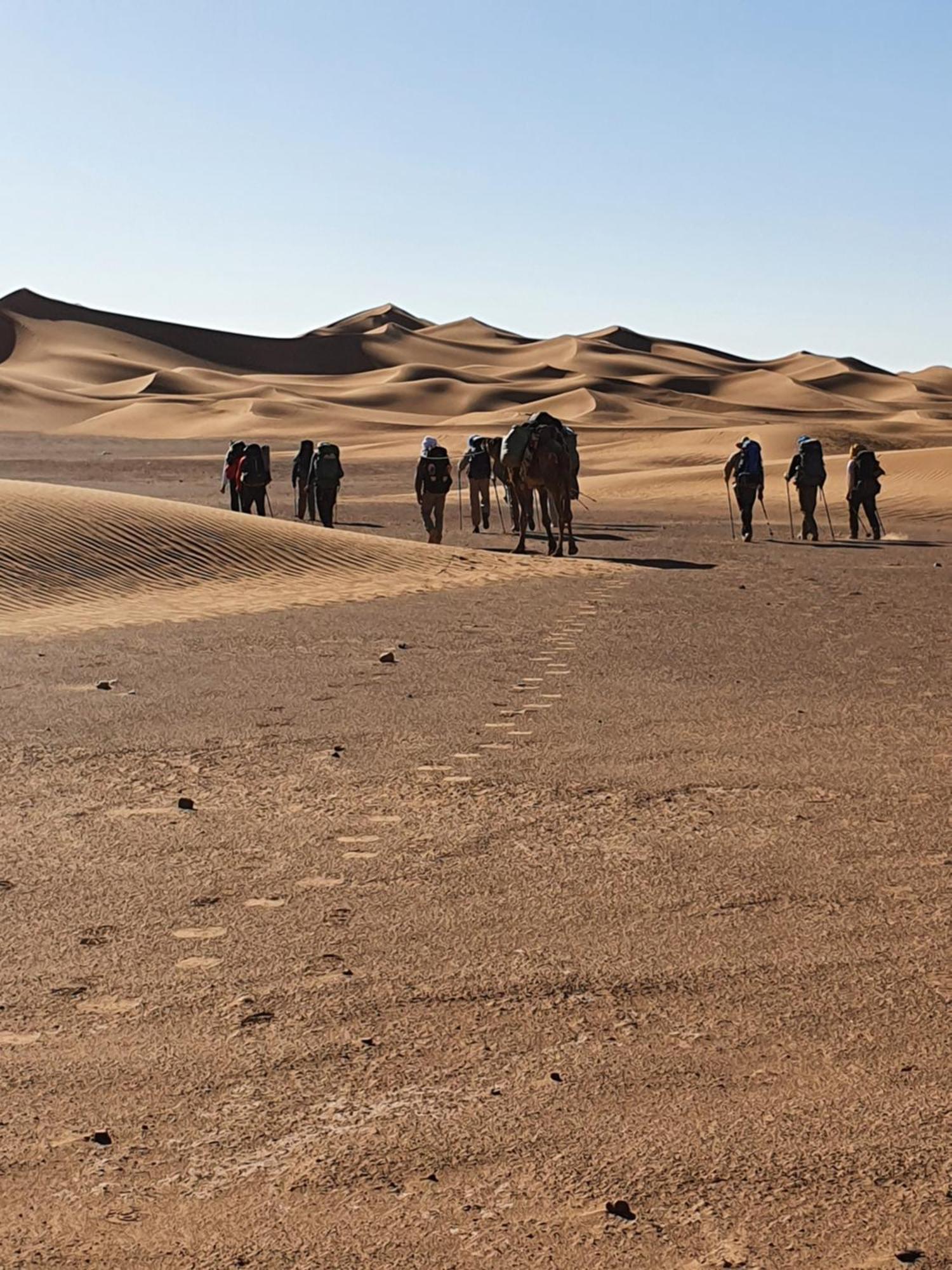 Bivouac Les Nomades & Foum Zguid To Chegaga Tours Hotel Ngoại thất bức ảnh